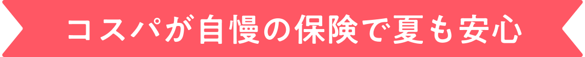 コスパが自慢の保険で夏も安心